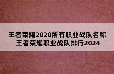 王者荣耀2020所有职业战队名称 王者荣耀职业战队排行2024